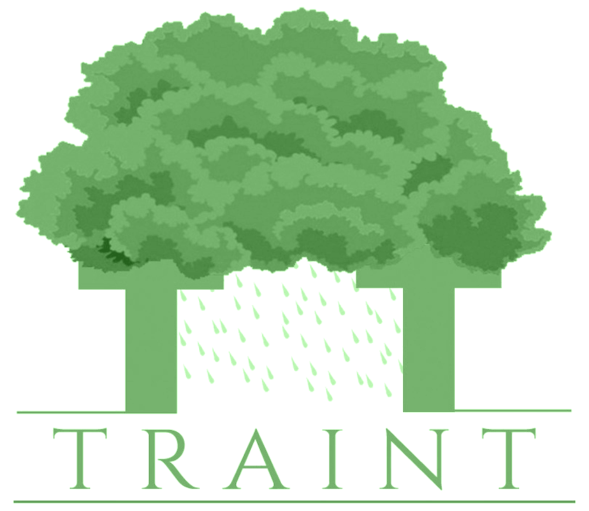 Traint Technologies Pvt Ltd